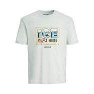 Jack&Jones 12238373 Erkek T-shirt