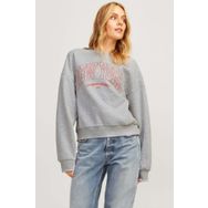 JJXX Jxmerle RLX Short LS Crew Gri Kadın Sweatshirt