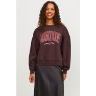JJXX Jxmerle RLX Short LS Crew Mor Kadın Sweatshirt