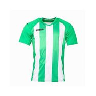Joma 1202.98.016 Yeşil Pisa Erkek Futbol Forması