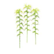 Jordania Bambu Ağaç 3’lü 10 cm N:SB10 Maket