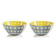 Jumbo Guzzini Le Murrine 2li Sarı Gri Kase