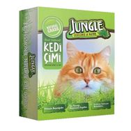 Jungle Fileli Kedi Çimi
