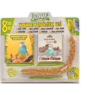 Jungle Muhabbet Kuşu İhtiyaç Seti
