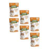 Jungle Pouch Kısırlaştırılmış Gravy Soslu Tavuklu Yaş 6x100 gr Kedi Maması