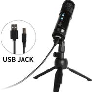 Jwin Rms-14 Condenser Stüdyo Ses Kayıt USB Girişli Mikrofon Seti