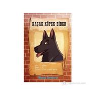 KAÇAK KÖPEK BIBER - MIYASE SERTBARUT