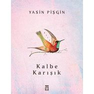 Kalbe Karışık - Yasin Pişgin