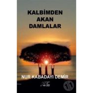 Kalbimden Akan Damlalar - Nur Kabadayı Demir