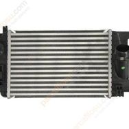 Kale 345060 Oto Turbo İnterkol Radyatörü