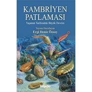 Kambriyen Patlaması - Ergi Deniz Özsoy