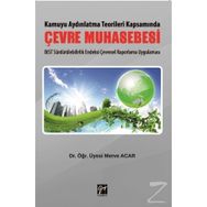 Kamuyu Aydınlatma Teorileri Kapsamında Çevre Muhasebesi - Merve Acar