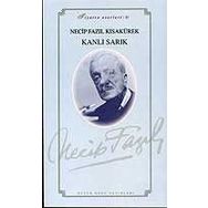 Kanlı Sarık 30 - Necip Fazıl Bütün Eserleri - Necip Fazıl Kısakürek