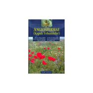 KAPALI TOHUMLULAR ANGIOSPERMAE - KOLEKTIF
