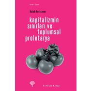 KAPITALIZMIN SINIRLARI VE TOPLUMSAL PROLETARYA - HALUK YURTSEVER