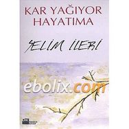KAR YAĞIYOR HAYATIMA - SELIM İLERİ