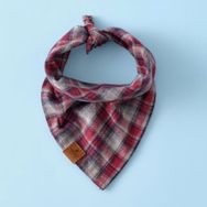 Karaca Home X Pati Gingham Köpek Kırmızı Fular