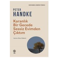KARANLIK BIR GECEDE - PETER HENDKE