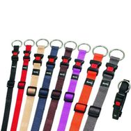 Karlie 45-65 cm Kırmızı Kilitli Köpek Boyun Tasması
