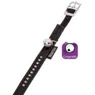 Karlie Xsmall Siyah 11 mm 30 cm Deri Taşlı Kedi Tasma