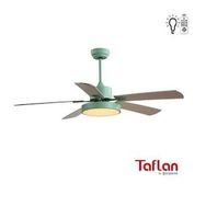 Kaşkar F52302 Yeşil Tavan Vantilatör