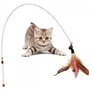 Kastore Kedi Oltası Oyuncağı
