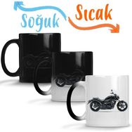 Kawasaki Vulcan S Motor Brandası