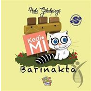 Kedi Mi Barınakta - Hale Gökalpsezer