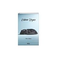Kedinin Rüyası Gece Kitaplığı