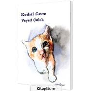 Kedisi Gece - Veysel Çolak