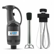Kef BL25-C Profesyonel El Blender