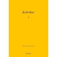 Kehribar İkinci Adam Yayınları