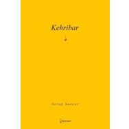 Kehribar İkinci Adam Yayınları