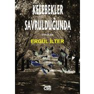 Kelebekler Savrulduğunda - Ergül İlter