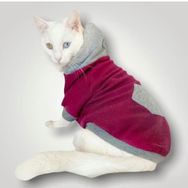 Kemique L Kırmızı Kitty Grey Kapşonlu Sweat By Kemique Köpek Kazağı