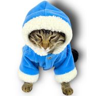 Kemique Mavi Furry Kapşonlu Sweatshirt Ceket Kedi Kıyafeti