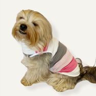 Kemique Mega Stripes Atlet Köpek Kıyafeti