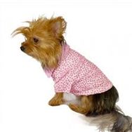 Kemique Pink Leo Cutie Polo Yaka Tişört Köpek Elbisesi
