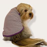 Kemique Purple Stripe Mor Köpek Elbisesi