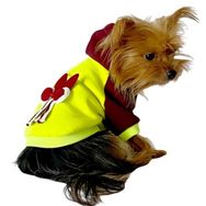 Kemique XL Gri Bunny Bordo Fosfor Kapşonlu Sweat By Kemique Köpek Kazağı
