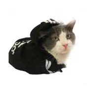 Kemique Xxl Siyah Adidog Kapşonlu Duo Kedi Sweatshirt Kedi Kazağı