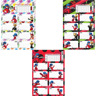 Keskin Color 220130-84 Lady Bug Ders Programlı 3'lü Okul Etiketi