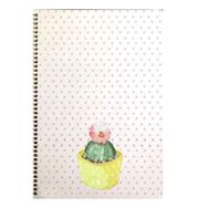 Keskin Color 410562-99 Saguaro Sert Kapak Spralli 20x28 100 Yaprak Kareli Defter