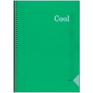Keskin Color A4 60 Yaprak Kareli Pp Kapak Cool Yeşil Spiralli Defter