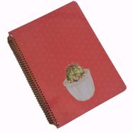 Keskin Color Kırmızı Saguaro 20x28 100 Yaprak Çizgili Spiralli Sert Kapak Defter