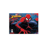 Keskin Spiderman 25x35 15 Yaprak Resim Defteri