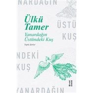 Ketebe Yayınları Yanardağın Üstündeki Kuş
