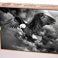 King Of Puzzle Kara Kartal 1000 Parça Puzzle