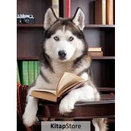 King Of Puzzle Kitap Okuyan Husky 1000 Parça Puzzle
