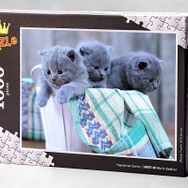 King Of Puzzle Minik Kediler 1000 Parça Puzzle